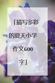描写多彩的夏天小学作文600字
