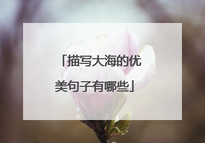 描写大海的优美句子有哪些