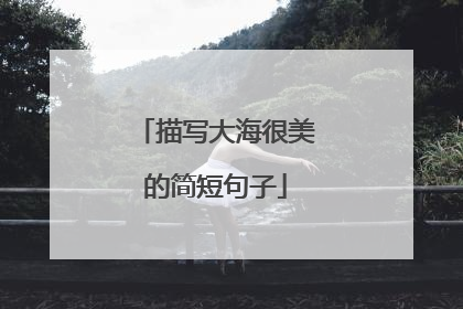 描写大海很美的简短句子