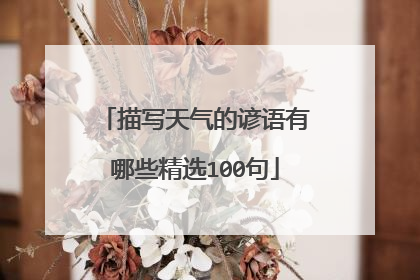 描写天气的谚语有哪些精选100句