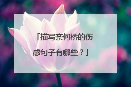 描写奈何桥的伤感句子有哪些?
