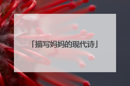 描写妈妈的现代诗