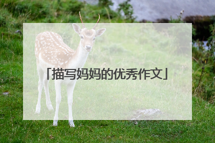 描写妈妈的优秀作文