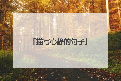 描写心静的句子