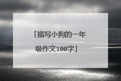 描写小狗的一年级作文100字
