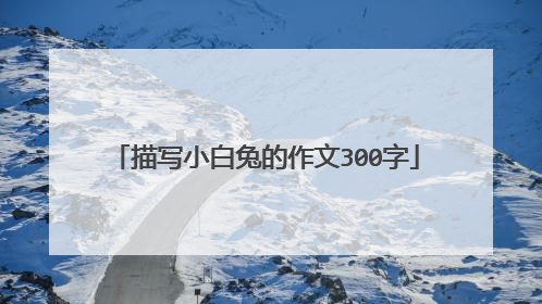描写小白兔的作文300字