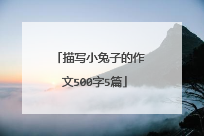 描写小兔子的作文500字5篇