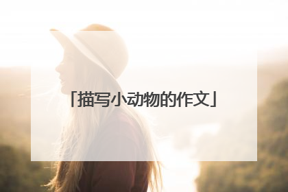 描写小动物的作文