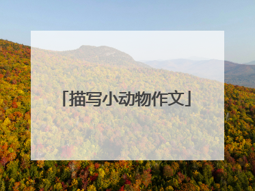 描写小动物作文