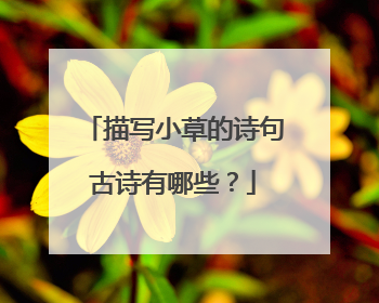 描写小草的诗句古诗有哪些？