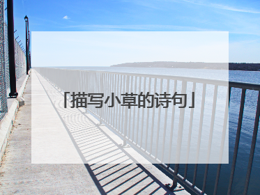 描写小草的诗句