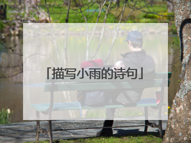 描写小雨的诗句