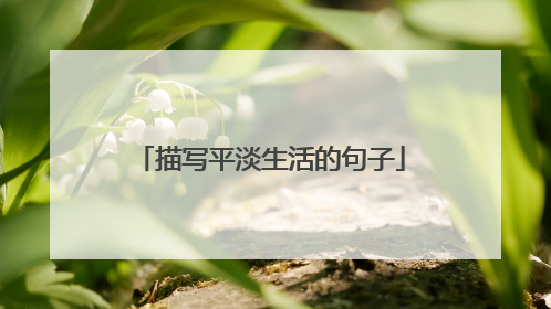 描写平淡生活的句子
