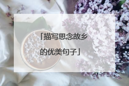 描写思念故乡的优美句子