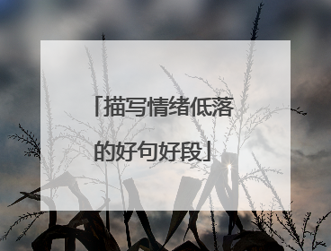 描写情绪低落的好句好段