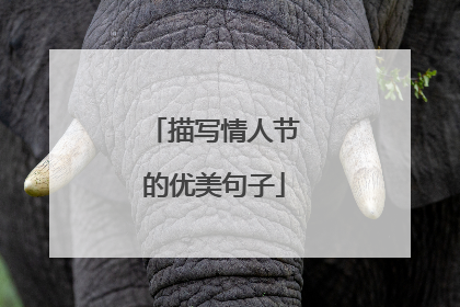 描写情人节的优美句子