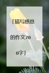 描写感恩的作文700字