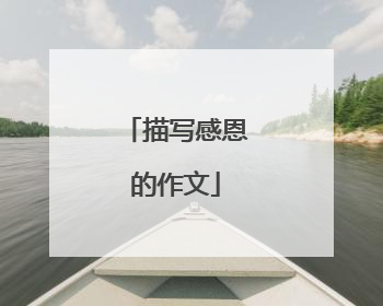 描写感恩的作文