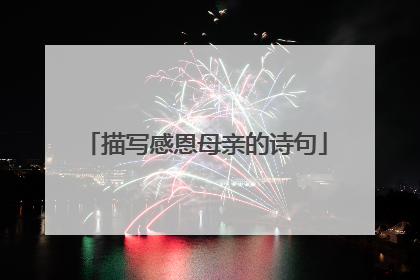 描写感恩母亲的诗句