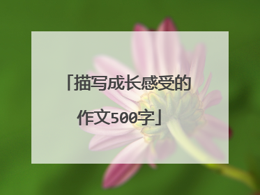 描写成长感受的作文500字