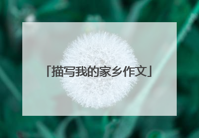 描写我的家乡作文