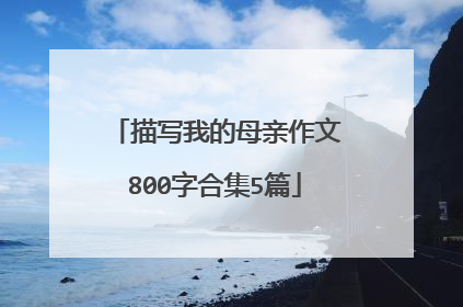 描写我的母亲作文800字合集5篇