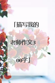 描写我的老师作文300字