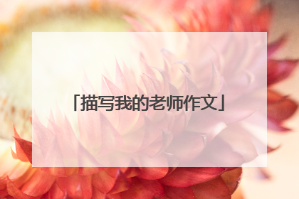 描写我的老师作文