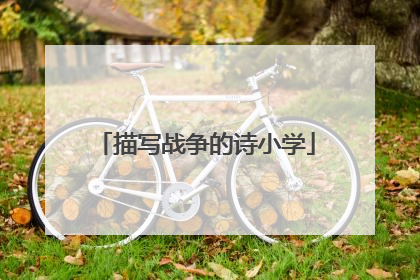 描写战争的诗小学