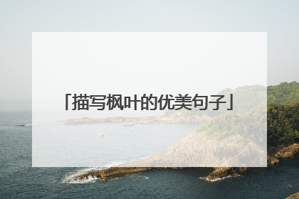 描写枫叶的优美句子