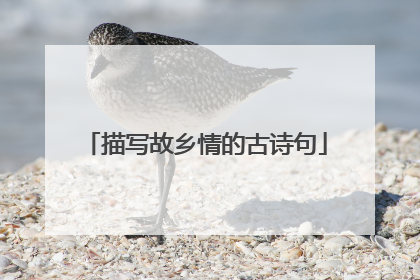 描写故乡情的古诗句