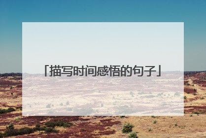 描写时间感悟的句子