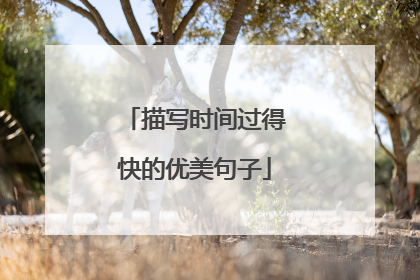 描写时间过得快的优美句子
