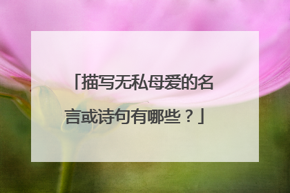 描写无私母爱的名言或诗句有哪些？