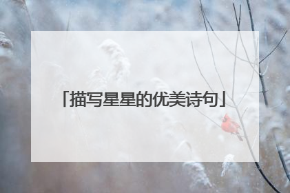 描写星星的优美诗句
