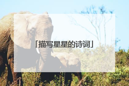 描写星星的诗词