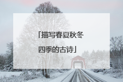 描写春夏秋冬四季的古诗