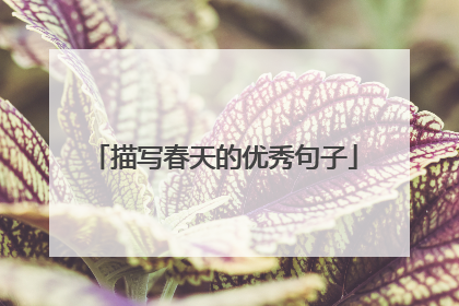 描写春天的优秀句子