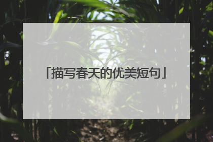 描写春天的优美短句
