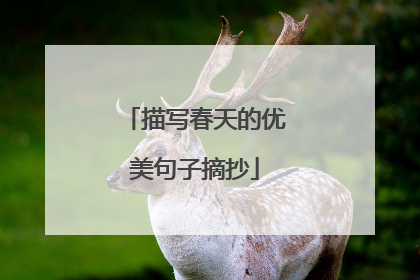 描写春天的优美句子摘抄
