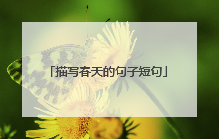 描写春天的句子短句
