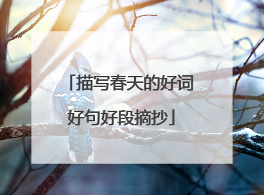 描写春天的好词好句好段摘抄