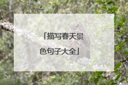 描写春天景色句子大全