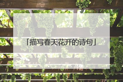 描写春天花开的诗句