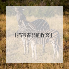 描写春节的作文