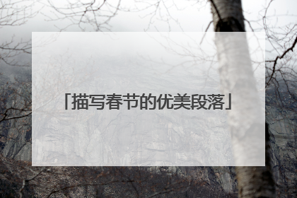 描写春节的优美段落