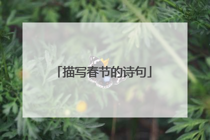 描写春节的诗句