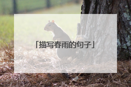 描写春雨的句子