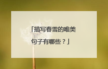 描写春雪的唯美句子有哪些？