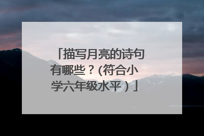 描写月亮的诗句有哪些？(符合小学六年级水平）